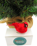 Westman Works Cardinal Decor with Clip Realistic Felt Bird Home Decoration Gift Boxed, 3 Inch