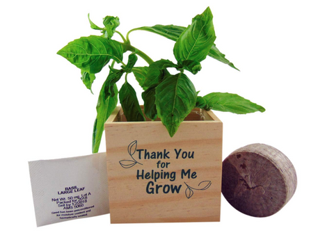 Teacher Gift Basil Plant Pot Set Thank You for Helping Me Grow Wooden Cube, 4 inch