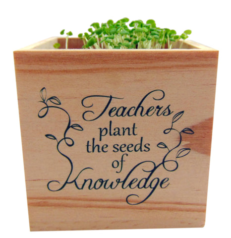 Teachers Plant the Seeds of Knowledge Wooden Planter Cube, 4 inch