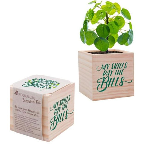 SHIPPING ONLY on My Skills Pay The Bills Plant Pot Set Wooden Cube with Money Tree Seeds, 4 inch Each 120 UNITS OF THE SAME PLANT