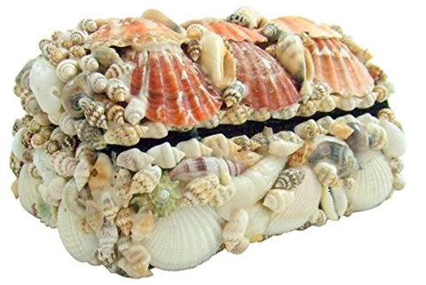 Seashell Jewelry Box 6 inches long