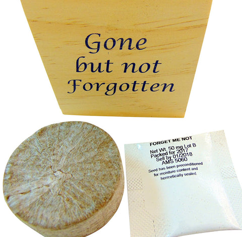 Gone But Not Forgotten Memorial Flower Pot Plant Wooden Cube with Forget Me Not Seeds
